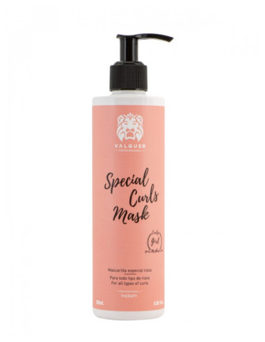 Mascarilla Especial Rizos 290ml Curly Gi